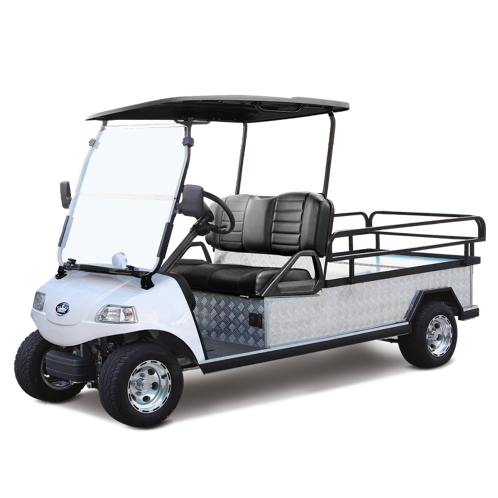 Evolution Turfman 1000 plus - 2 seater – Electric Car Sales and