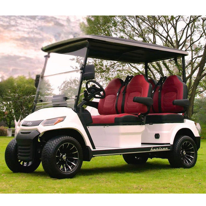 2025 Advanced EV Horizon 4-Passenger AC 2
