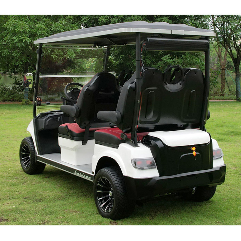2025 Advanced EV Horizon 4-Passenger AC 3